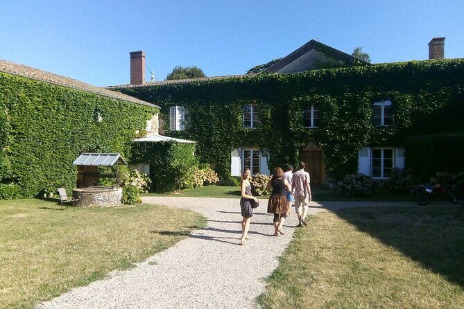 Full-Day Beaujolais Wine Tour - Picnic Lunch Included - Oingt village walk: medieval lanes and panoramic views