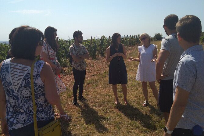 Full-Day Beaujolais Wine Tour - Picnic Lunch Included - Price and value: why $277.10 can make sense