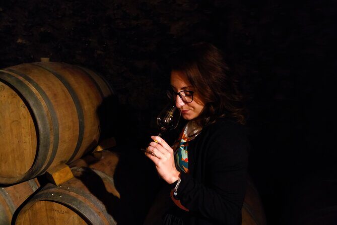 Full Day Guided Wine Tour with Tasting and Lunch - Tain-l’Hermitage lunch: local pairings in short circuits