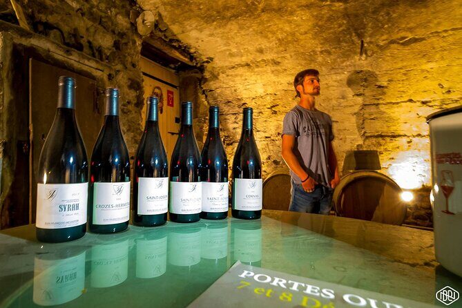 Full Day Guided Wine Tour with Tasting and Lunch - Chantemerle-les-Bles workshop tasting: cheese, honey, and the artisan approach