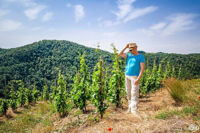 Full Day Guided Wine Tour with Tasting and Lunch - Tournon-sur-Rhône finale with the winemaker himself