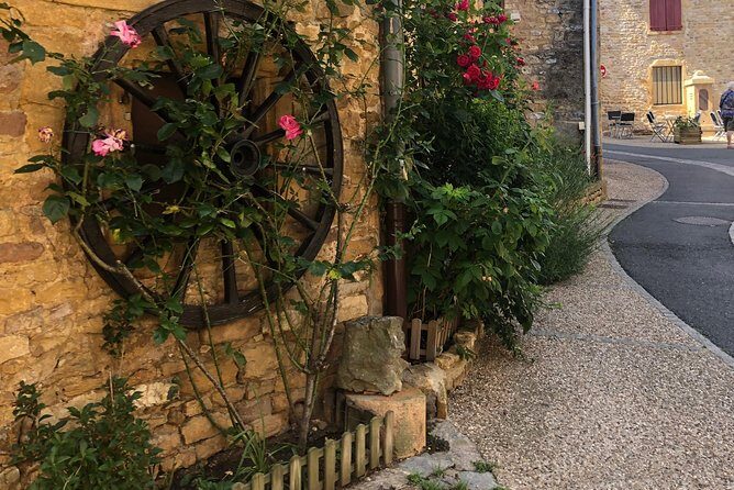 Golden stones Beaujolais Wine Tour with Tastings from Lyon - From Place Bellecour to the Beaujolais hills: the value of a 2:00 pm start