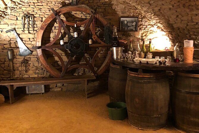 Golden stones Beaujolais Wine Tour with Tastings from Lyon - Beaujolais family winery: meeting the winemaker and tasting the estate wines