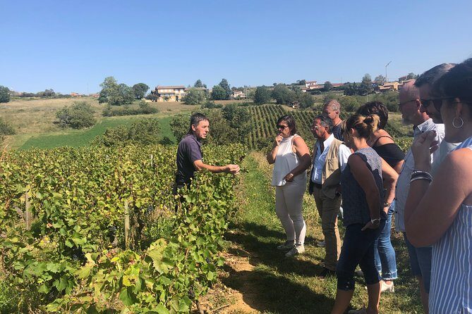 Golden stones Beaujolais Wine Tour with Tastings from Lyon - Oingt medieval village: walk the golden-stone streets without the crowds trap