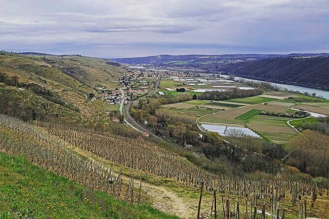 Guided Day Tour and Wine Tasting Northern Rhône Valley - Chavanay or Ampuis: your first estate tasting with 4 to 6 wines