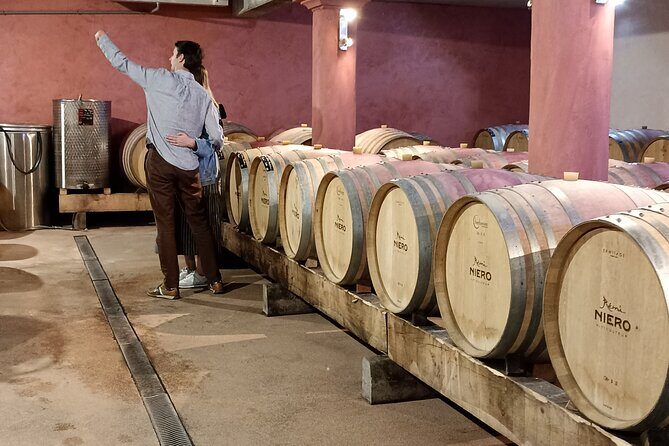 Guided Day Tour and Wine Tasting Northern Rhône Valley - Two winery tastings near Tain-l’Hermitage: compare, question, and connect the dots