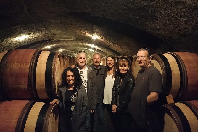 Guided tour and wine tasting Northern Rhône Valley - The guide experience: English support and real talk with the estate