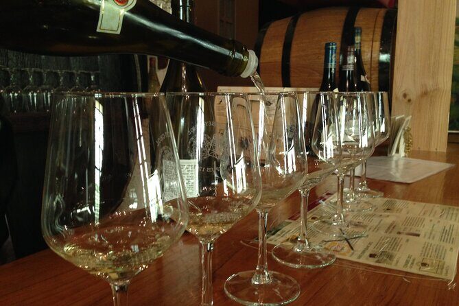 Half-Day Cotes du Rhone Private Wine Tour from Lyon - Chavanay: barrel-aging know-how and another full tasting flight