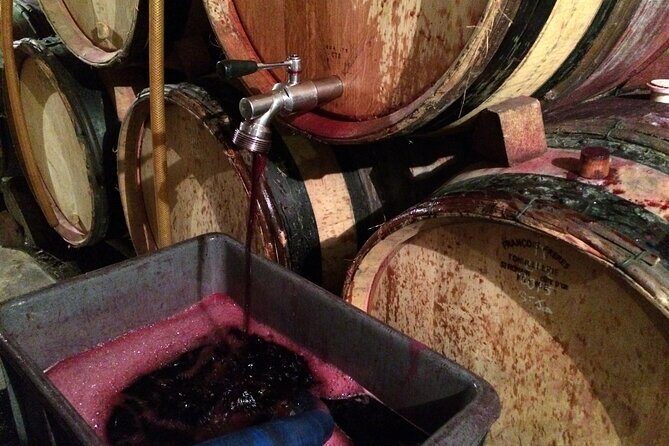 Half-Day Cotes du Rhone Private Wine Tour from Lyon - How the 4 hours 30 minutes actually works for your day