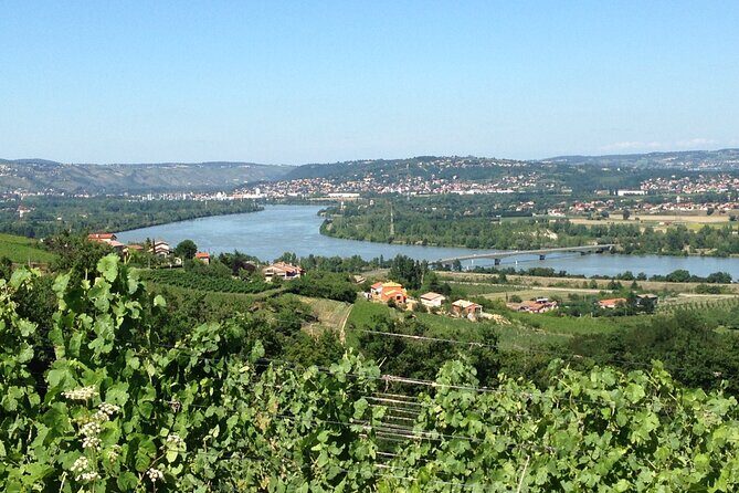 Half-Day Cotes du Rhone Private Wine Tour from Lyon - Price and value: what $145 buys you (and why it’s not just a tasting)