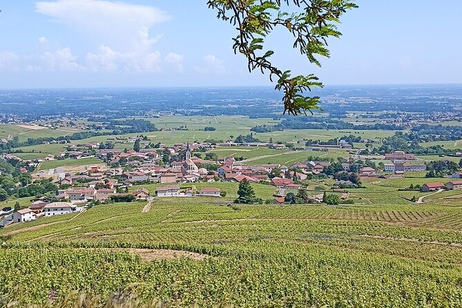 Half-Day Guided Tour with Tasting of Beaujolais Wines - Riding out of Lyon: a realistic half-day wine plan