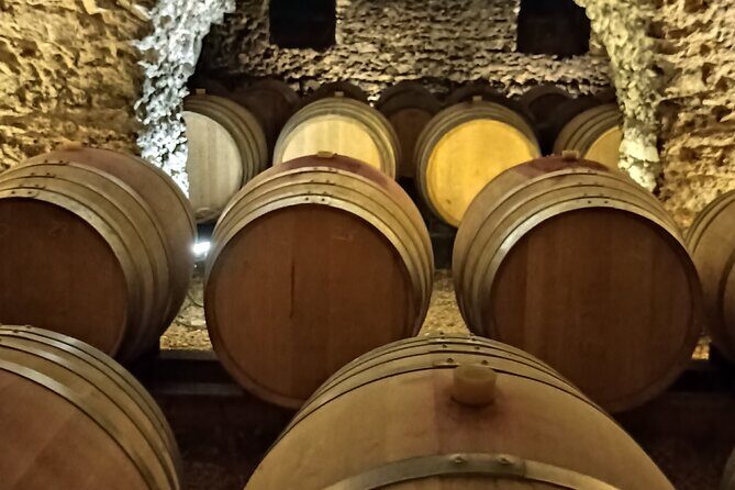 Half-Day Guided Tour with Tasting of Beaujolais Wines - Stop 1 in Bagnols: the village drive that sets the tone