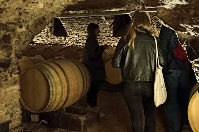 Half-Day Guided Tour with Tasting of Beaujolais Wines - Getting from Pl. Bellecour to Beaujolais without stress