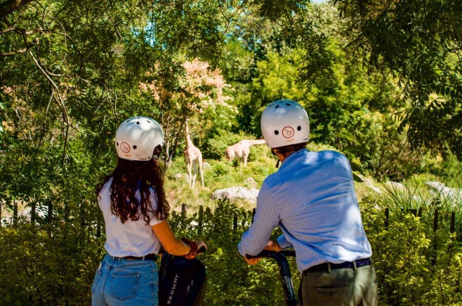 Lyon: City Highlights Segway Tour - Gliding the Rhône and Saône: the best reason to choose Segway