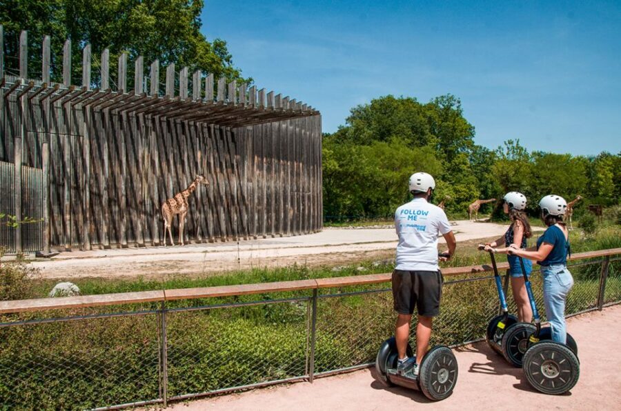 Lyon: City Segway Tour with a Local Guide - Price and value: what $56 buys you in two hours