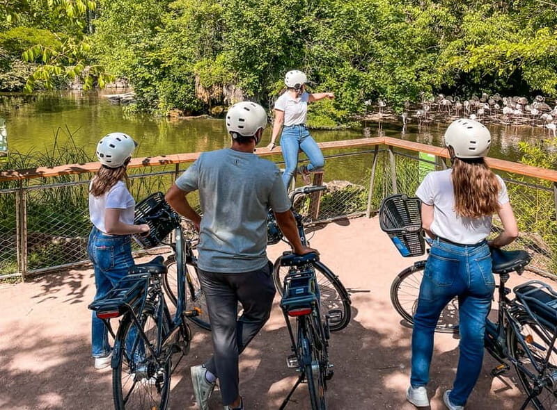 Lyon: Parc Tête d'Or eBike Tour - Practical details that affect your comfort
