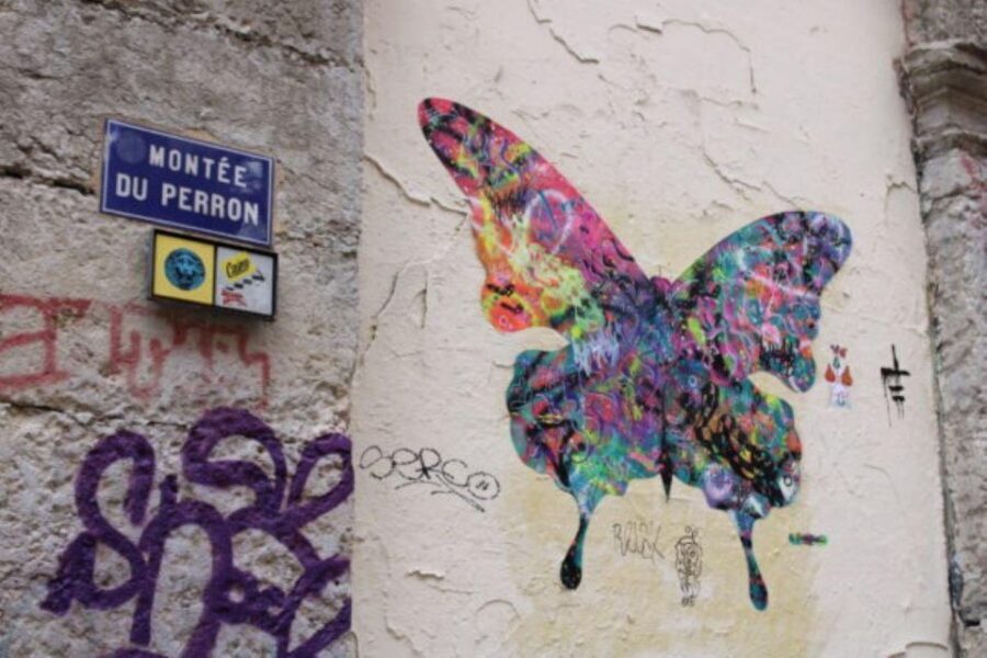 Lyon: Street Art & Street Food Tour - Meeting at Place des Tapis: finding the fresque des canuts start point