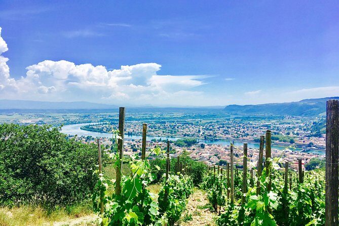 Northern Rhône Valley From Lyon Full day - Getting from Lyon to the right vineyards without stress