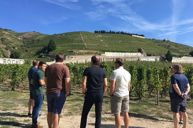 Northern Rhône Valley From Lyon Full day - Place Bellecour meetup and comfort on the road
