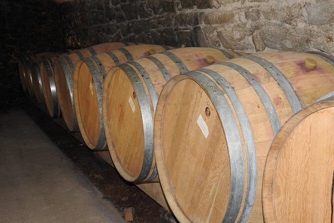 Northern Rhône Valley From Lyon Full day - Tain-l’Hermitage: your first big tasting and the Hermitage lesson