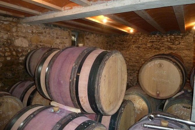 Northern Rhône Valley Wine tour from Lyon Half Day - Food and wine: how to judge the pour and stay sharp