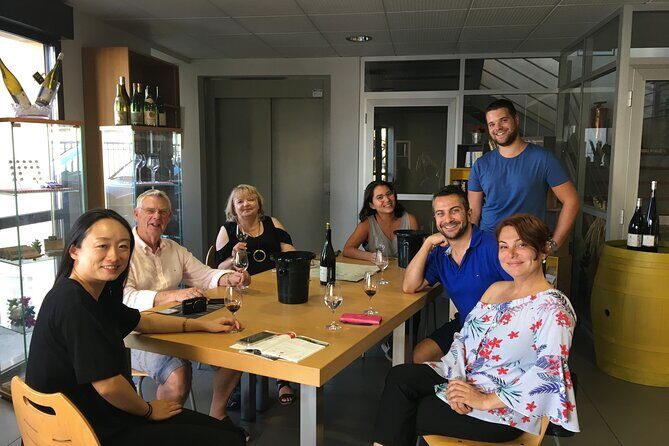 Northern Rhône Valley Wine tour from Lyon Half Day - Ampuis and Côte-Rôtie: the vineyard stroll that makes the wine click