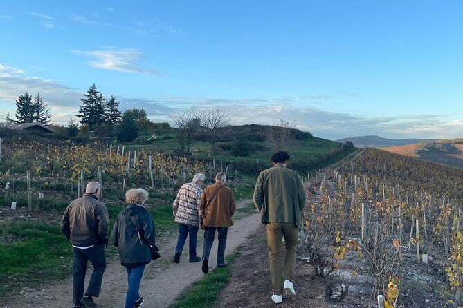Private Beaujolais wine tour - Key points I’d plan around before you book