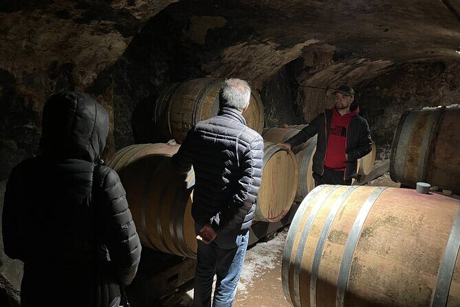 Private Beaujolais wine tour - A Full-Day Beaujolais Playlist: 4 stops, 2 generations