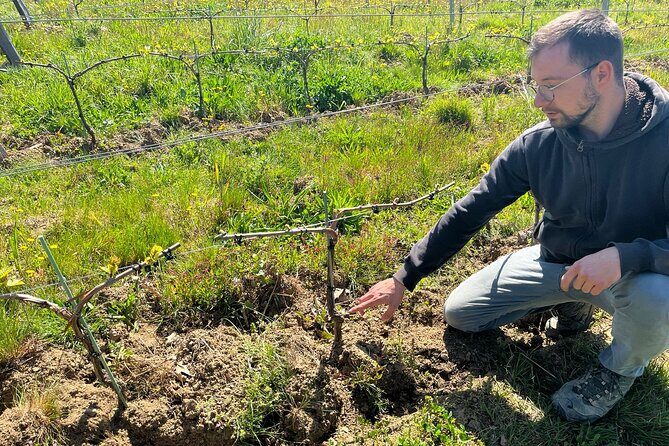 Private Beaujolais wine tour - Chiroubles lunch: a hillside pause in cru country