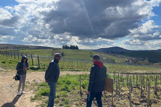 Private Beaujolais wine tour - Timing, pickup, and pacing: planning a smooth Lyon morning
