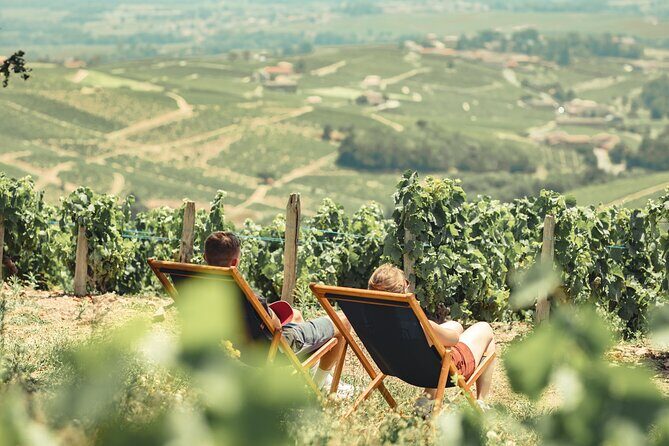 Private Full Day Wine and Food Tour from Lyon in Beaujolais - Price and what you actually get ($561.73 per person)