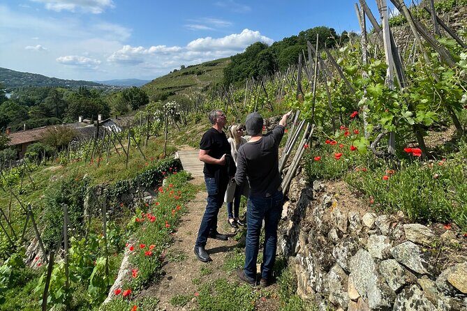 Private Rhône-Valley wine tour - What you’ll learn from the route: Rhône grapes, aging, and the logic of taste
