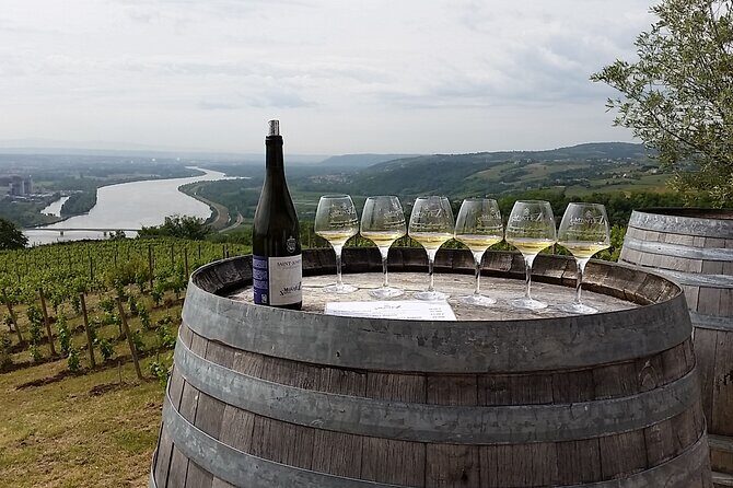 Rhône Valley Wine Tasting Private Day Tour from Lyon - The Day’s Rhythm: 9:15 Start, Three Stops, and a Real Ending