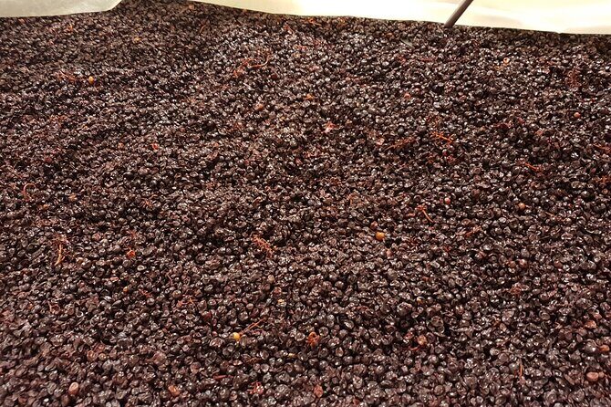 Rhône Valley Wine Tasting Private Day Tour from Lyon - Syrah and Viognier: What to Focus On While You Taste