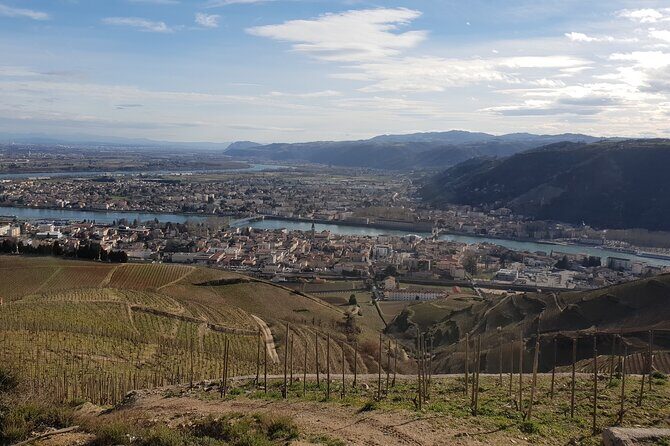 Rhône Valley Wine Tasting Private Day Tour from Lyon - First Winery Stop: Côte-Rôtie and Condrieu Views at Au Tour Du Vin Tours