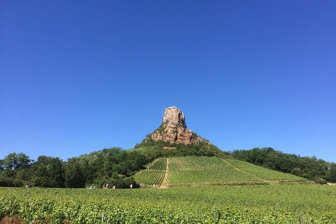 Southern Burgundy Wine Tour - Full Day Shared tour from Lyon - Key highlights worth showing up for