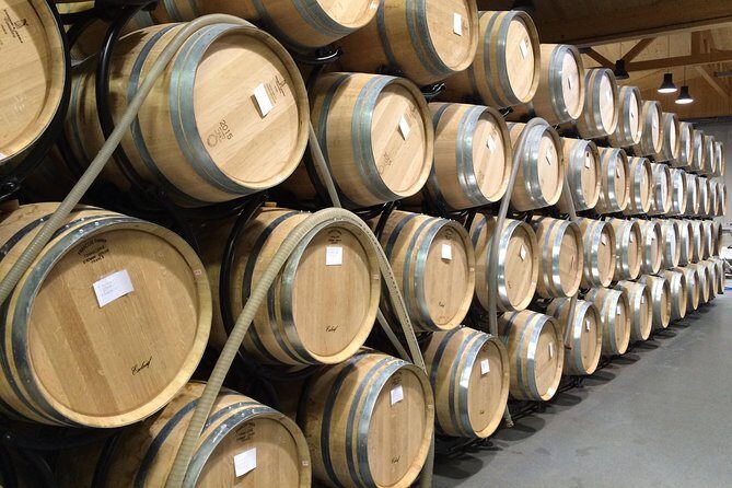 Southern Burgundy Wine Tour - Full Day Shared tour from Lyon - From Lyon: a wine day that feels organized, not rushed