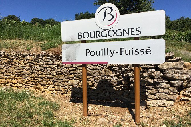 Southern Burgundy Wine Tour - Full Day Shared tour from Lyon - The meeting point on Bellecour Square (and how the day starts)