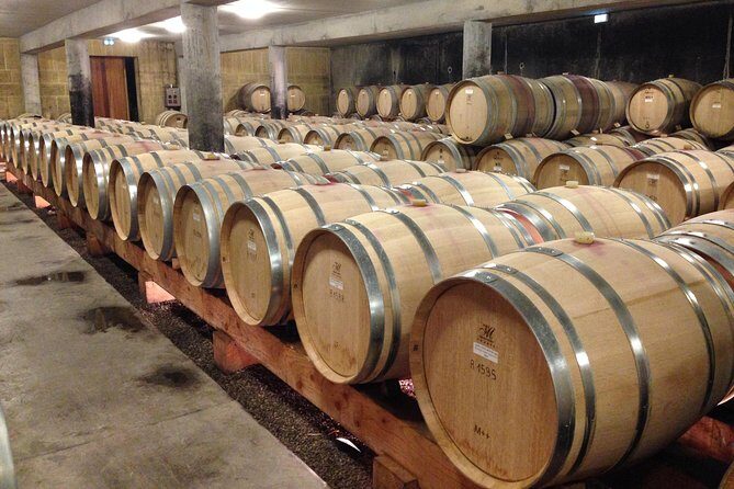 The Original Syrah Wine Tour (2:00 pm - 6:30 pm) - Small Group Tour from Lyon - Chavanay winery tasting: a first family cellar visit with comparisons