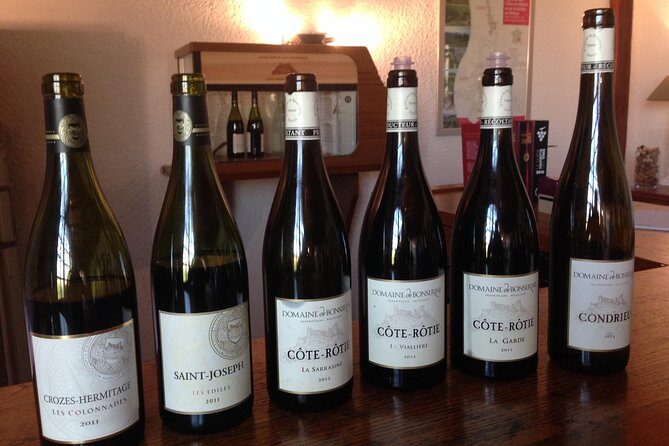 The Original Syrah Wine Tour (2:00 pm - 6:30 pm) - Small Group Tour from Lyon - Stop in Vienne: a quick Roman theatre break with big valley views