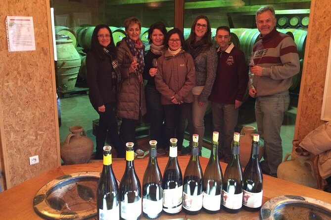 The Original Syrah Wine Tour (9:00 am - 1:30 pm) - Small Group Tours from Lyon - Comfort, group size, and how to get the most out of tastings