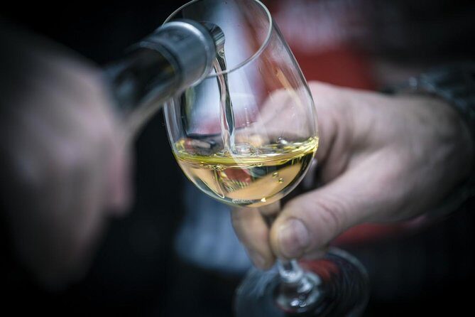 The Original Syrah Wine Tour (9:00 am - 1:30 pm) - Small Group Tours from Lyon - Ampuis and the Côte-Rôtie steepness: where Syrah gets serious
