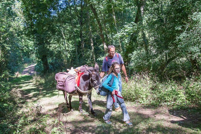 Walks and hikes with donkeys - Quick highlights before you meet the donkeys