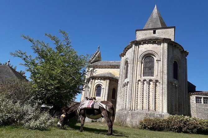 Walks and hikes with donkeys - Stop 1: Jazeneuil and the pace of the Melusin country walk