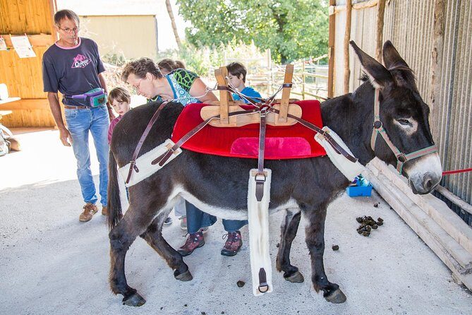 Walks and hikes with donkeys - Who this donkey walk is best for