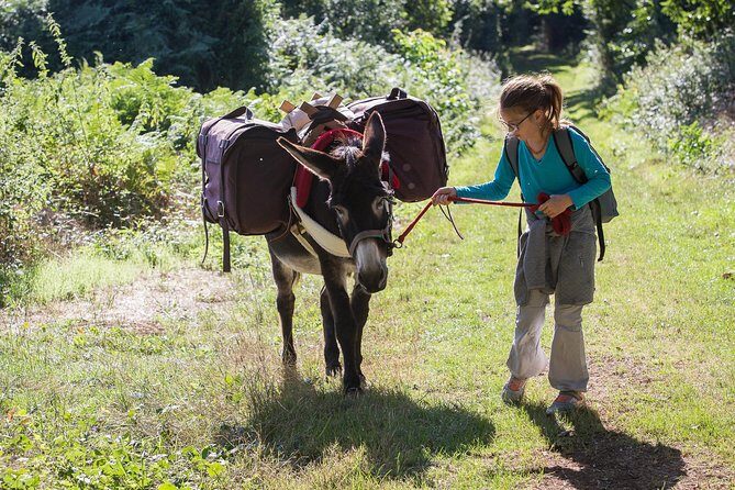 Walks and hikes with donkeys - Getting there: the simple meeting point setup