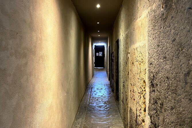 Wine tasting in Lyon & Secret Traboules - Should you book Wine Tasting in Lyon and Secret Traboules?